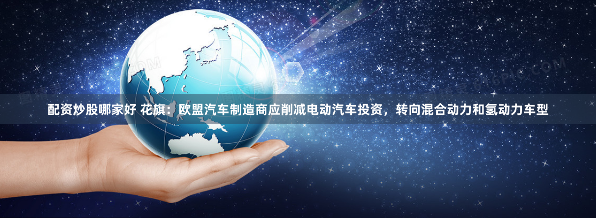 配资炒股哪家好 花旗：欧盟汽车制造商应削减电动汽车投资，转向混合动力和氢动力车型