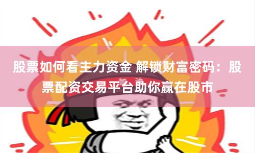 股票如何看主力资金 解锁财富密码:股票配资交易平台助你赢在股市